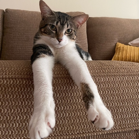 🤗 - Picture 8 of 17